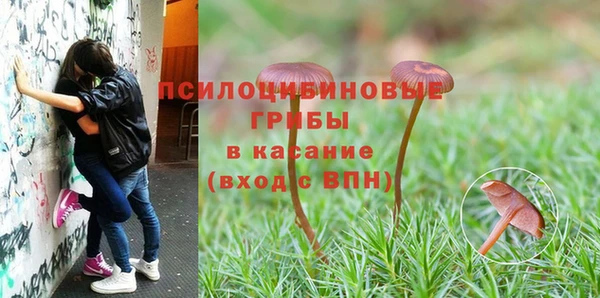 соль курить ск Богородицк