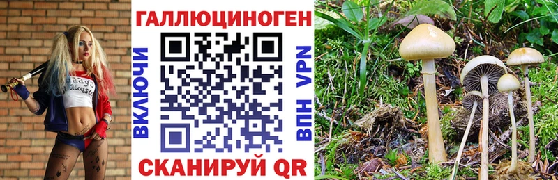 Галлюциногенные грибы мухоморы  Венёв 